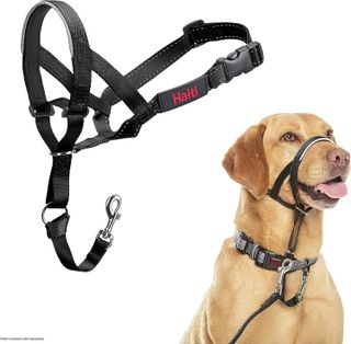 10 Best Dog Head Collars for Leash Training in 2021- 1