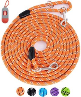 10 Best Dog Training Leashes to Ensure Pet Safety and Control- 3