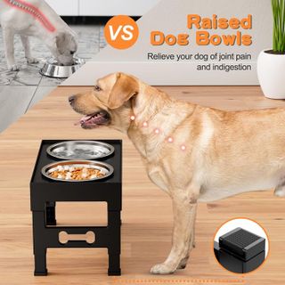 No. 4 - LAKIPETN Adjustable Elevated Dog Bowls - 5