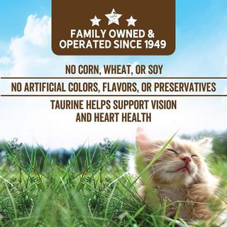 No. 2 - Evolve Grain Free Ocean Whitefish and Egg Cat Food - 4