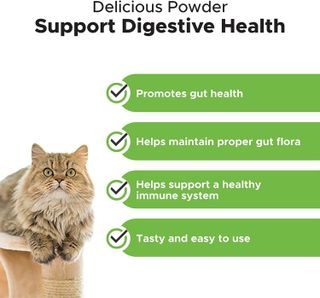 No. 4 - Pet Honesty Digestive Probiotics Max Strength for Cats Supplement - 3