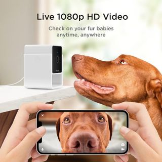 No. 4 - Petcube Cam Indoor Wi-Fi Pet and Security Camera - 2