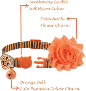 No. 3 - BoomBone Cat Collar Charms - 2