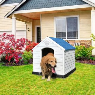 No. 5 - ZENY Plastic Dog House - 2