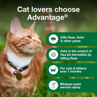 No. 4 - Advantage Cat Flea Spray - 3