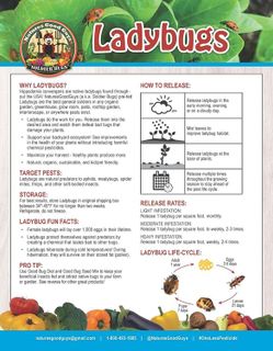 No. 4 - Nature's Good Guys Live Ladybugs - 4