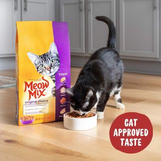No. 3 - Meow Mix Original Choice Dry Cat Food - 4