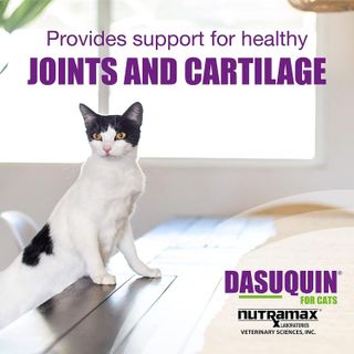 No. 5 - Dasuquin Cat Joint Health Supplement - 3