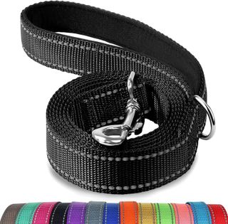 No. 4 - Joytale Double-Sided Reflective Dog Leash - 1