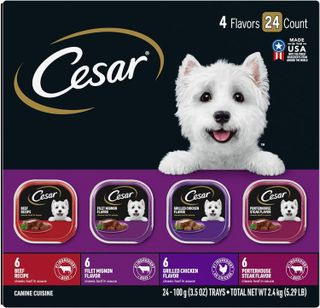 No. 6 - CESAR Adult Wet Dog Food Classic Loaf in Sauce Variety Pack - 1