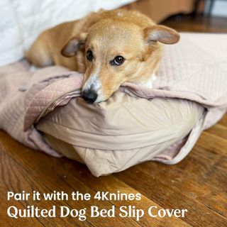 No. 3 - Dog Bed Liner - 3