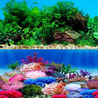 No. 8 - ELEBOX Fish Tank Background Stickers Wallpaper - 1