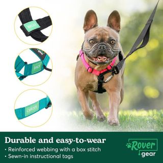 No. 8 - Rover Gear Better Walk No Pull Dog Harness - 5