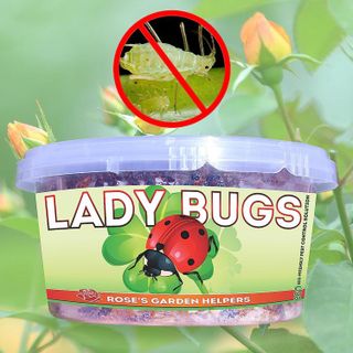 No. 5 - Ladybugs for Pest Control - 2