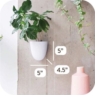 No. 2 - Virgo Self-Watering Wall Planters - 2