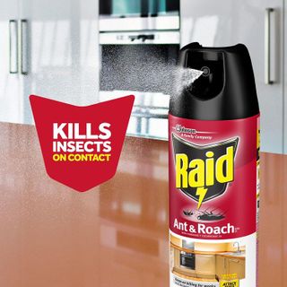 No. 4 - Raid Ant & Roach Killer 26 - 5