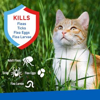 No. 10 - Adams Flea & Tick Spray For Cats - 2