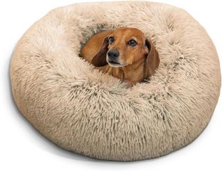 Top 10 Best Cat Beds for a Cozy and Comfortable Rest- 1