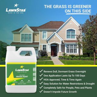 No. 4 - LawnStar Grass Paint - 5