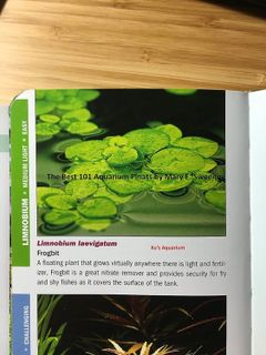 No. 9 - G'z Amazon Frogbit Live Aquarium Plants - 4