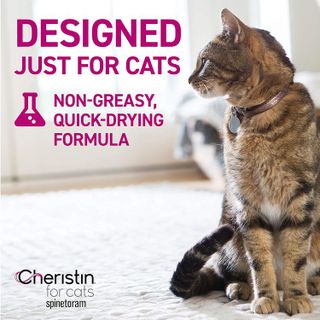 No. 7 - Cheristin Cat Flea & Tick Control - 4