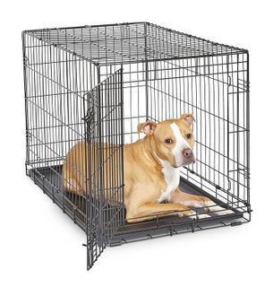 Top 10 Dog Crates for Safe and Secure Pet Homes- 2