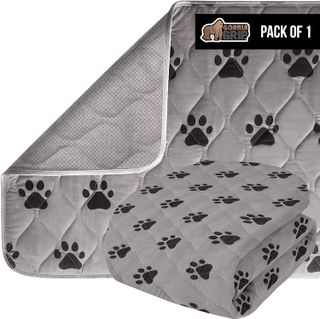 Top 10 Best Dog Bed Liners for a Clean and Cozy Home- 1