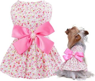 Top 10 Stylish Dog Dresses That Your Pup Will Love- 5