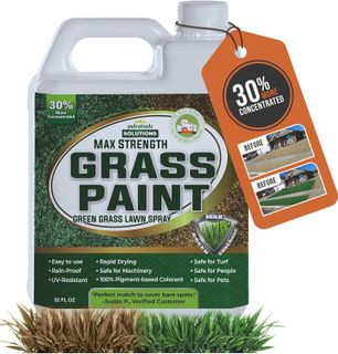 10 Best Grass Paint for Lawn Revival- 3