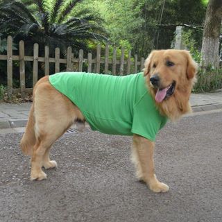 No. 4 - Lovelonglong Pet Clothing Dog Costumes Basic Blank T-Shirt Tee Shirts - 1