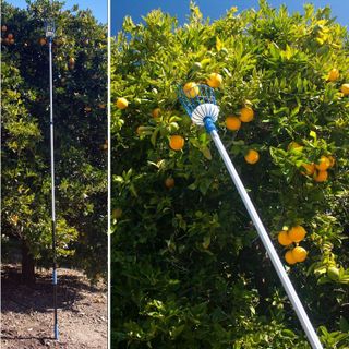 No. 3 - EVERSPROUT 12-Foot Fruit Picker - 5