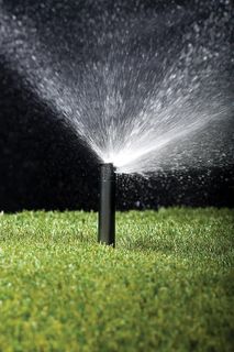 No. 8 - Rain Bird 12DSH Dual Spray Nozzle - 2