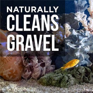 No. 8 - Natural Rapport Gravel Cleaner - 4