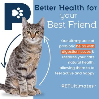 No. 6 - PetUltimates Cat Probiotic Supplement - 2