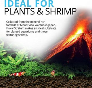 No. 3 - Fluval Plant and Shrimp Stratum - 2