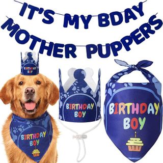 No. 10 - Dog Birthday Party Supplies - 1