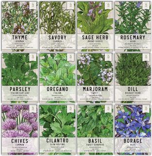 Top 10 Best Organic Herb Seeds for Indoor and Outdoor Planting- 3
