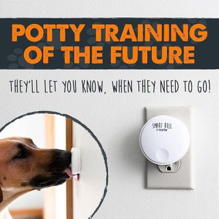 No. 3 - Mighty Paw Smart Bell 2.0 - 2