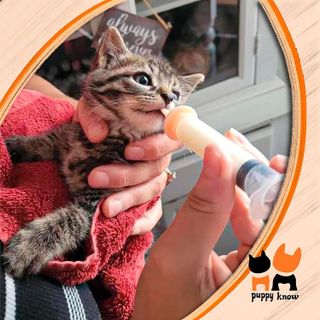 No. 2 - Pet Feeding Nipple for Kitten and Puppy - 2