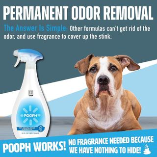 No. 4 - Pooph Pet Odor Eliminator - 4