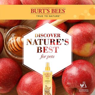 No. 3 - Burt's Bees for Pets Cat Natural Waterless Shampoo with Apple and Honey - 5