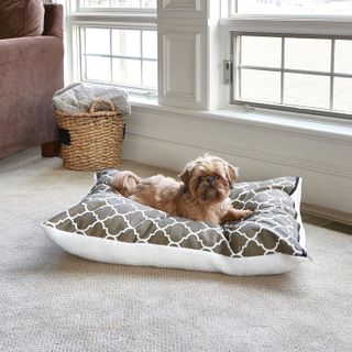No. 5 - MidWest Homes for Pets Quiet Time Teflon Brown Pillow Dog Bed - 3
