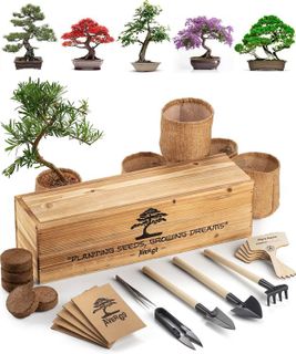 No. 7 - Bonsai Tree Kit - 1