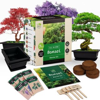 No. 1 - REALPETALED Bonsai Tree Kit - 1