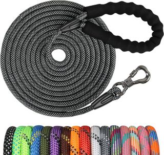 Top 10 Best Dog Leashes for Safe and Enjoyable Walks- 4