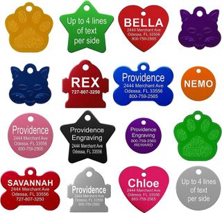 Top 10 Best Pet ID Tags for Dogs and Cats- 2