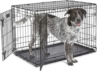 No. 8 - Newly Enhanced Double Door iCrate Dog Crate - 1