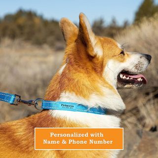 No. 3 - PAWBLEFY Personalized Dog Collar - 2