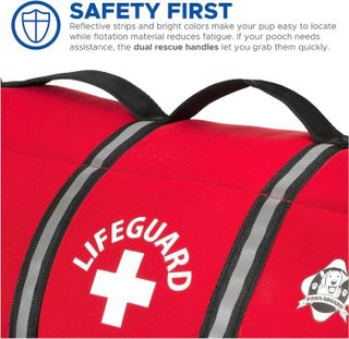 No. 7 - Paws Aboard Dog Life Jacket - 3