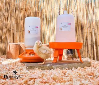 No. 7 - Roosty's Chick Feeder and Waterer Kit - 2